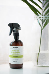 lemon zest all purpose cleaner by Really Great Goods on windowsill with plant in glass vase